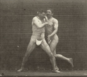 Plate 331 Boxing, stop for cross buttocks — figure reference